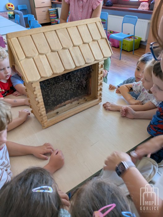 Biblioteka Gorlice, Lato z Biblioteką dzieci oglądają pszczoły w ulu